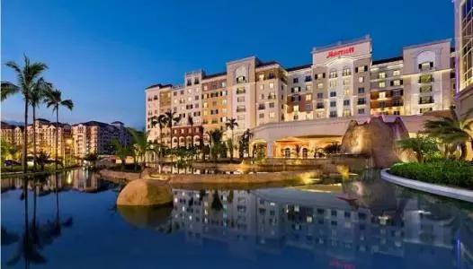 日本除甲醛豆子,日本甲醛清除剂真的有效吗