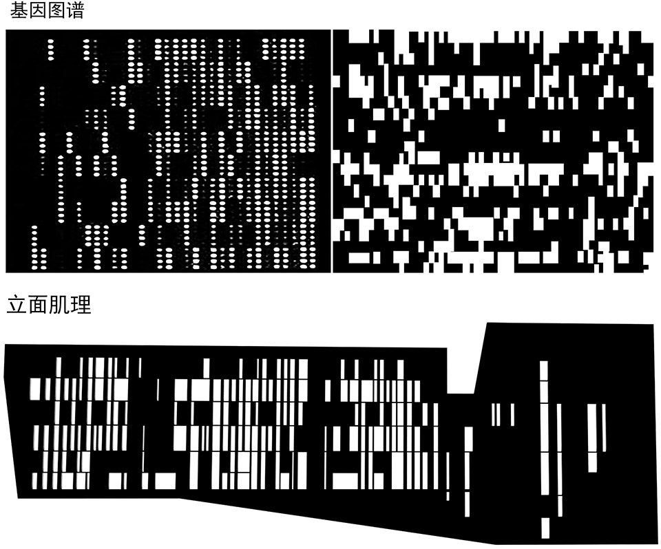 成都微芯药业原创药一期生产基地,微芯药业