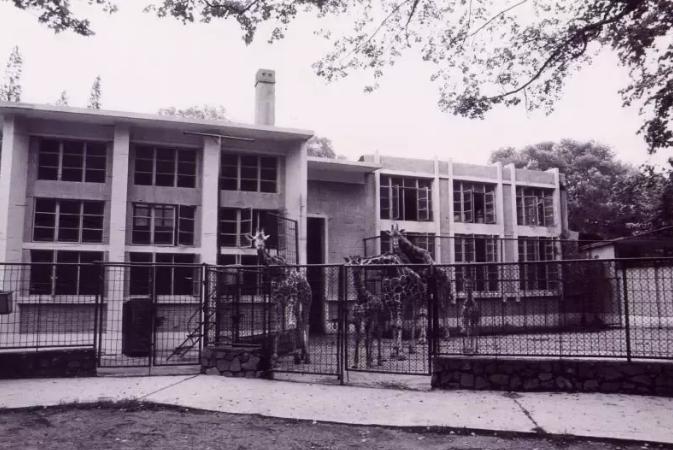 你知道吗？最早的西郊公园，竟然是个“马厩”~