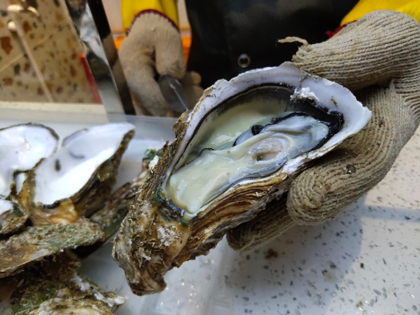 横琴最便宜的生蚝,珠海横琴生蚝推荐