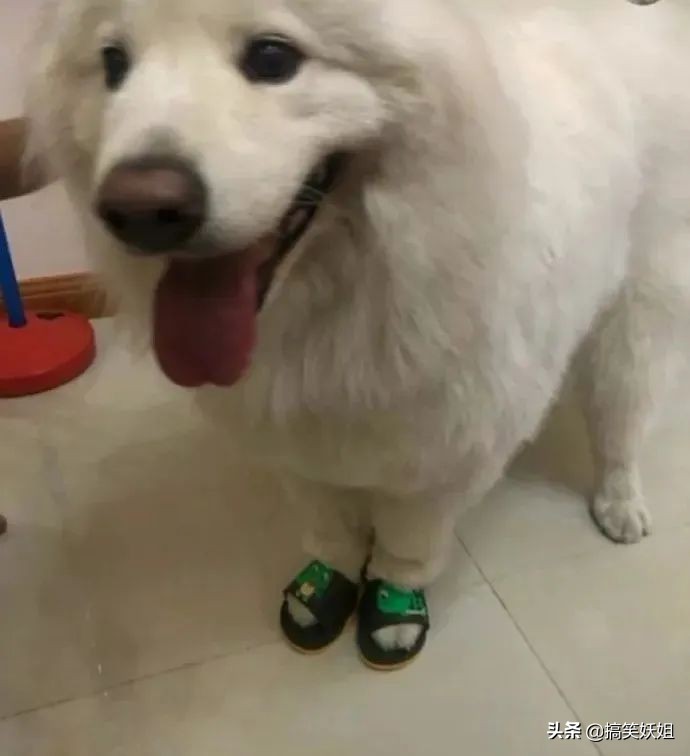 奇葩鞋大赏,奇葩鞋类大赏