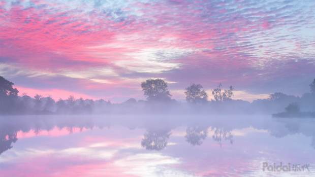 一个购物者的自白观后感,一个人做淘宝的心得