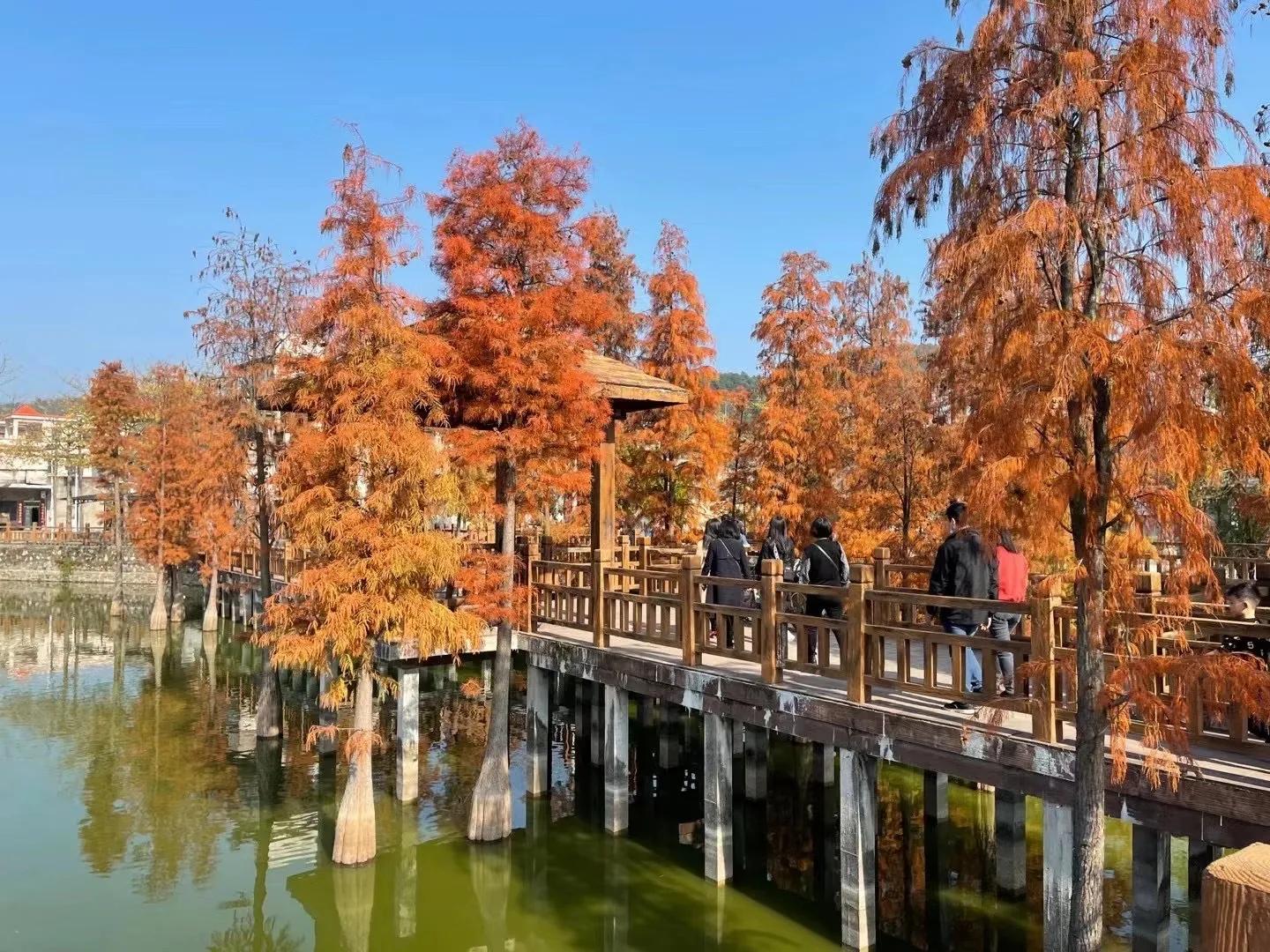 一个父亲的无奈,一个父亲的无助视频