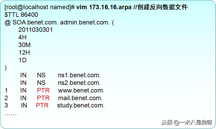 linux怎么搭建简单web服务器,linux配置dns域名解析服务器