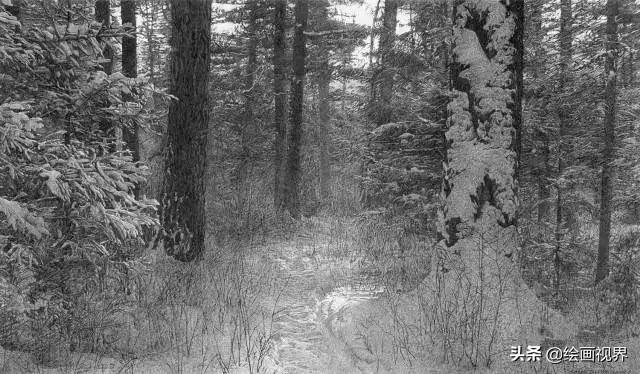 不会画就别学,不会画素描写生