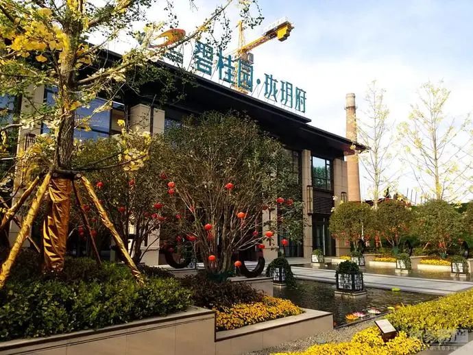 碧桂园珑玥府房价,漯河市碧桂园珑玥府