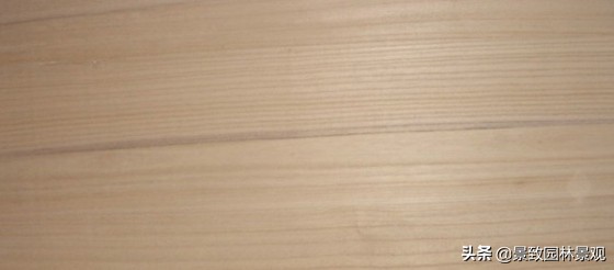 木纹最好看的木材图片,各种木材纹理图片与名称