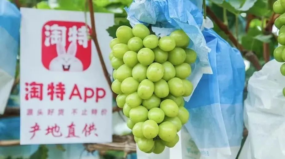 一份淘特榜单，隐藏着小镇青年的消费秘密