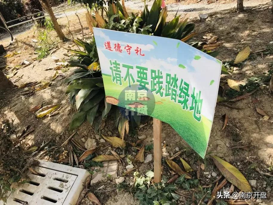 假山里住人！物业不作为，南京超级大盘终于要换物业了