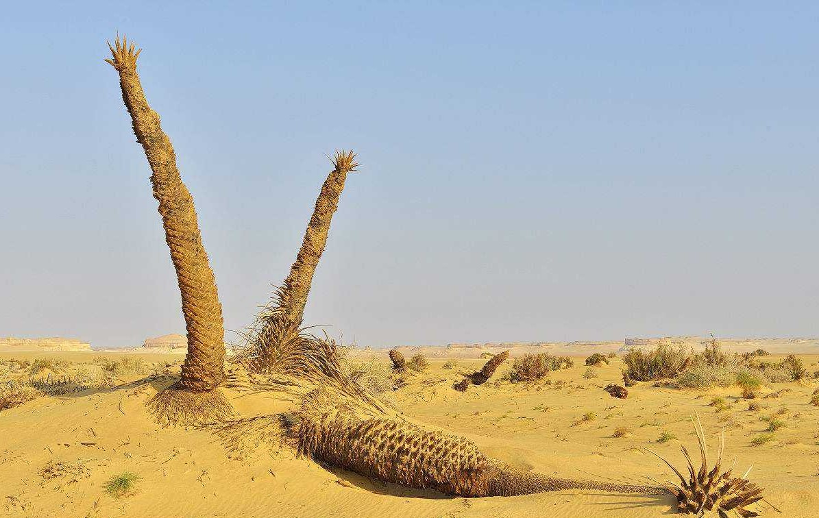 九种色彩心理学,心理学中的色彩认知