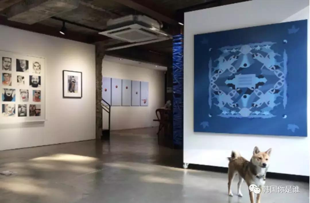 路人看到韩国明星,韩国街上能看到韩国明星吗