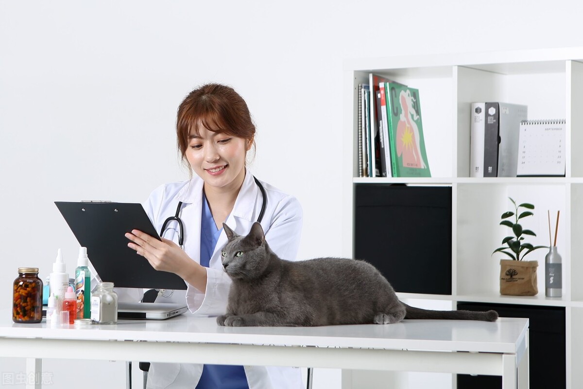 犬蛔虫怎么预防,如何治疗犬蛔虫感染