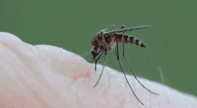 激光灭蚊神器制作,男子发明激光灭蚊子神器