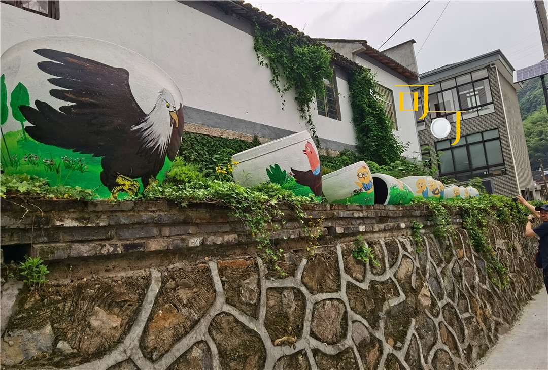 东钱湖湖畔人家农家乐,东钱湖下午茶和农家菜