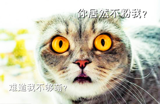 历史上有什么颠覆三观的事,历史上让人三观震碎的事情