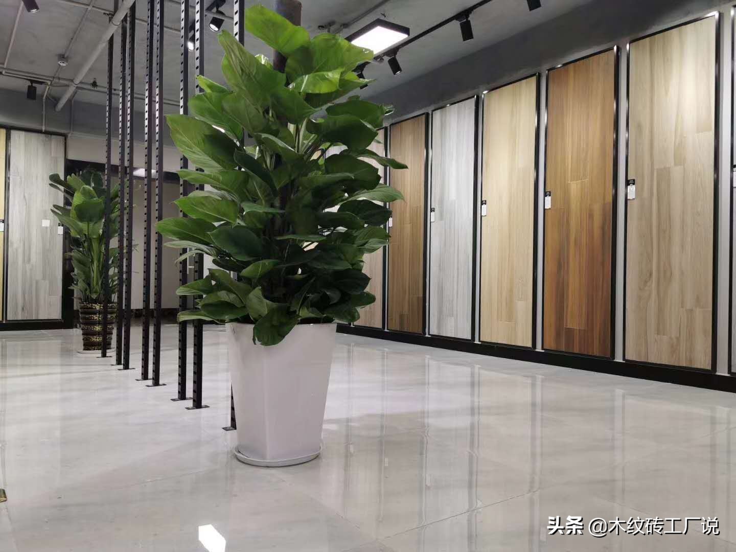 木纹砖哪些品牌的好用又实惠,木纹砖选哪个品牌便宜又好