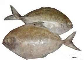 中国海鲜河鲜,市场河鲜海鲜种类大全