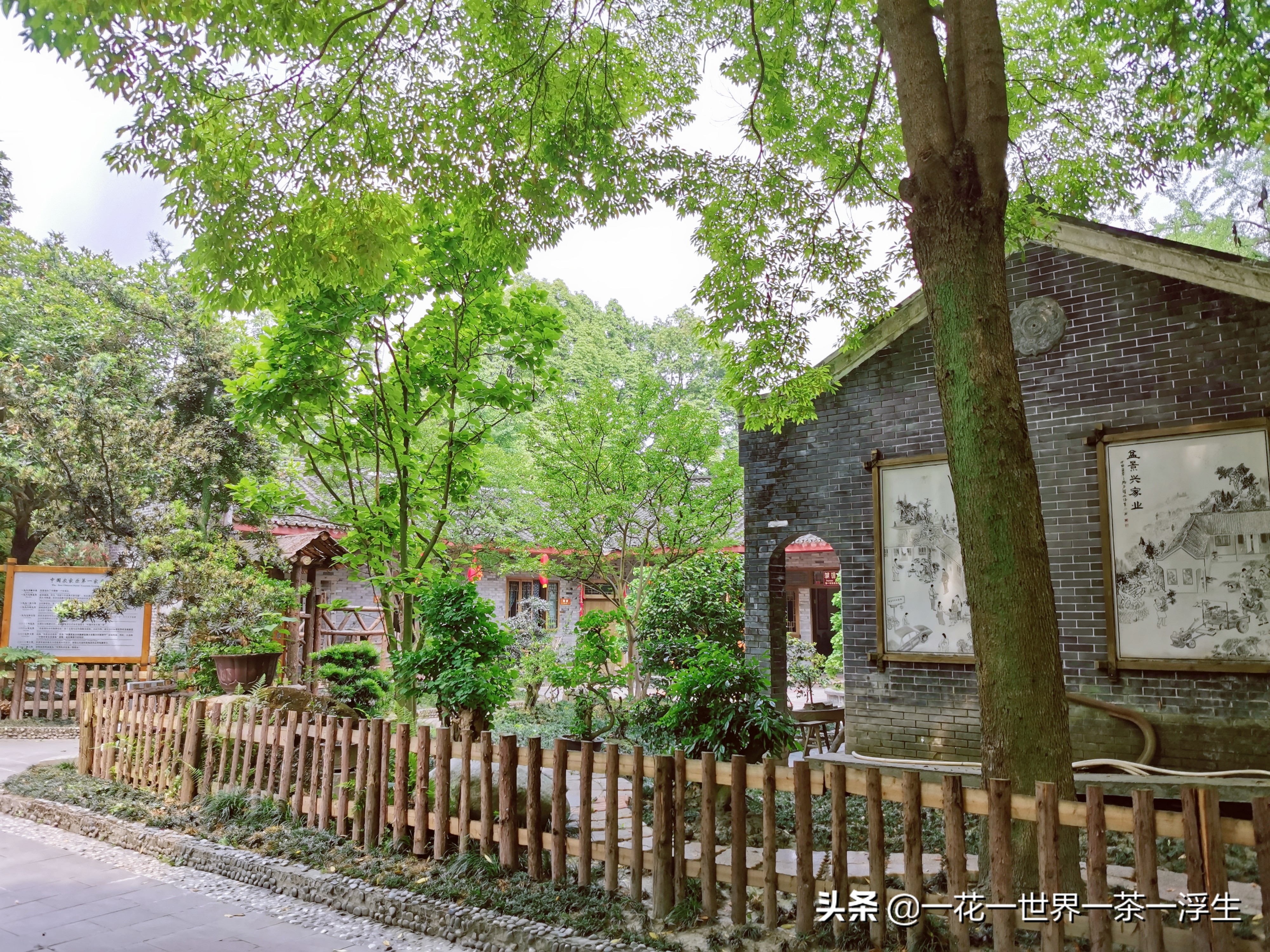 寻找巴适的成都小院(2)