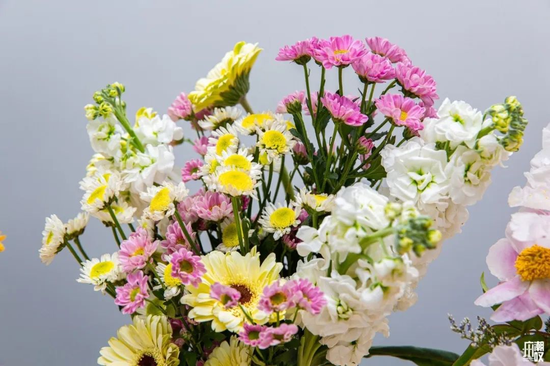 广州最便宜的花卉市场1块钱,广州岭南花卉市场买花攻略