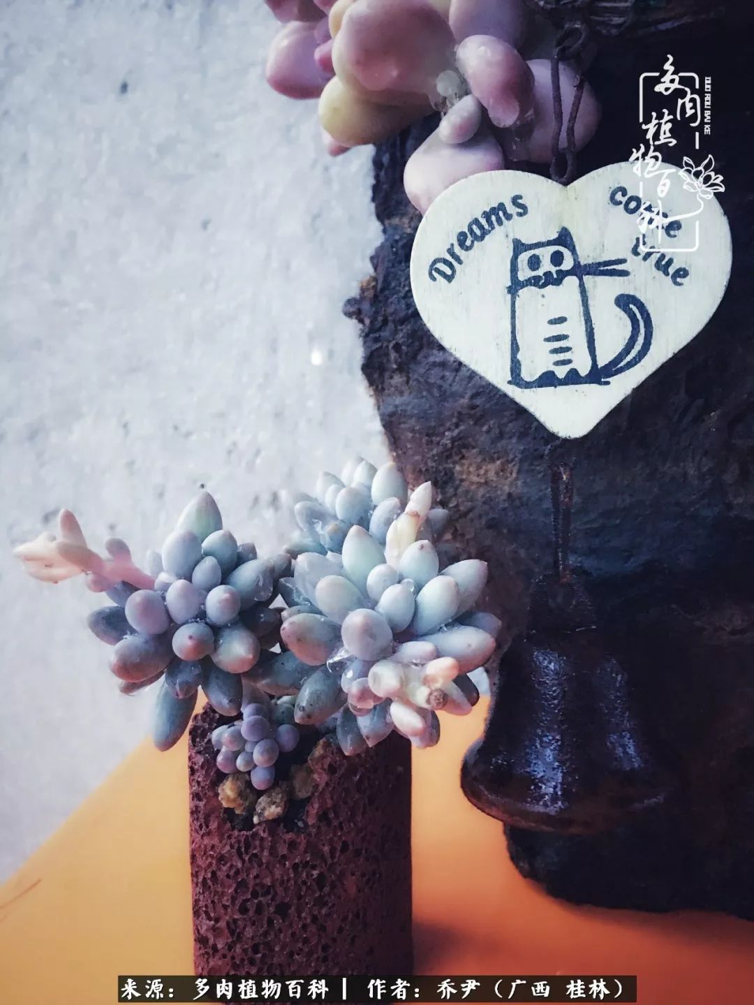 听到秋天的声音,听到了秋天的声音