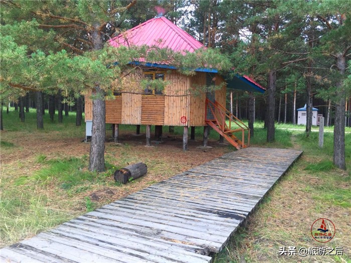 呼伦贝尔白桦林景区游玩时长,呼伦贝尔樟子松