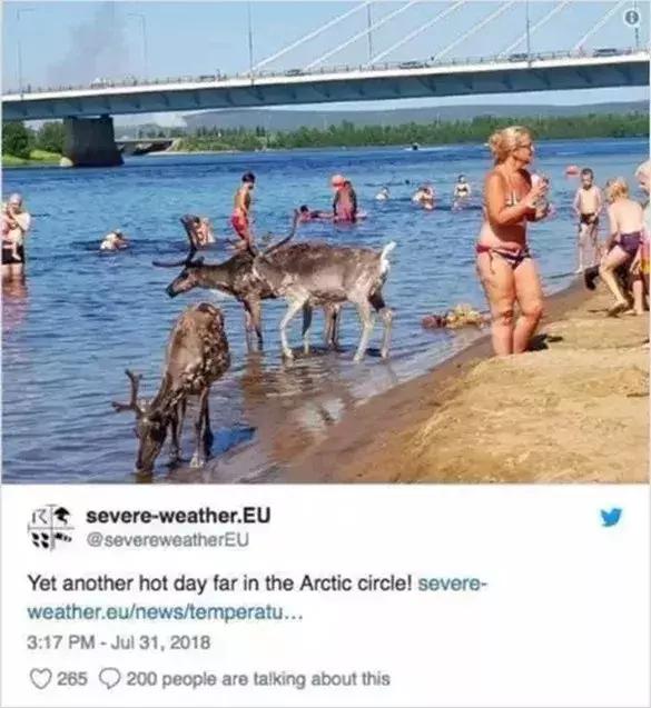 人类面临的生态困境包括哪,生态农业的可能性以及前景