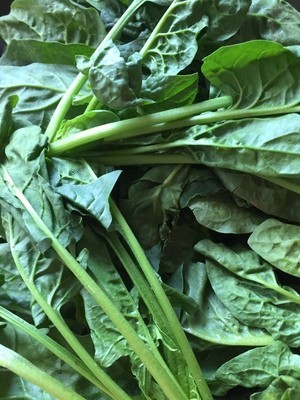 有机蔬菜种植技术大全,种植有机蔬菜怎样选择肥料