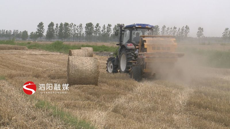 泗阳县农业产业,农业农村局秸秆综合利用实施方案