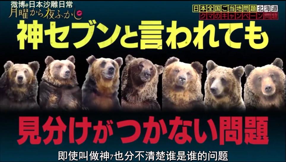 星期一不止有“比村乳业”，还有神经质的日本版《1818黄金眼》