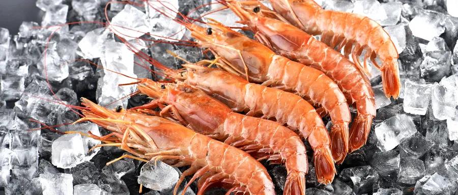 关爱老人中秋节送温暖活动,中秋关爱老人志愿服务活动