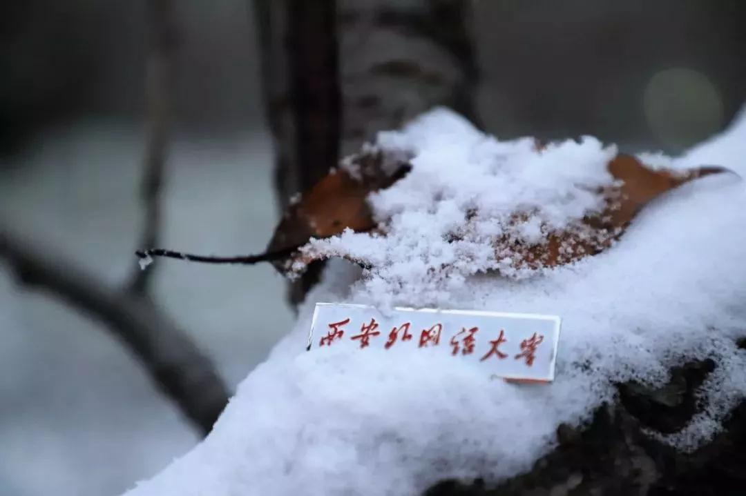 西安外国语大学原来叫什么,西安外国语大学是什么学校