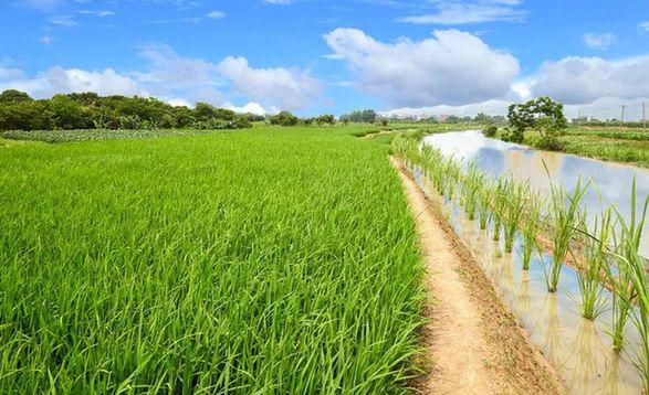 上海最美古镇及美食介绍,上海最值得打卡的十大古镇
