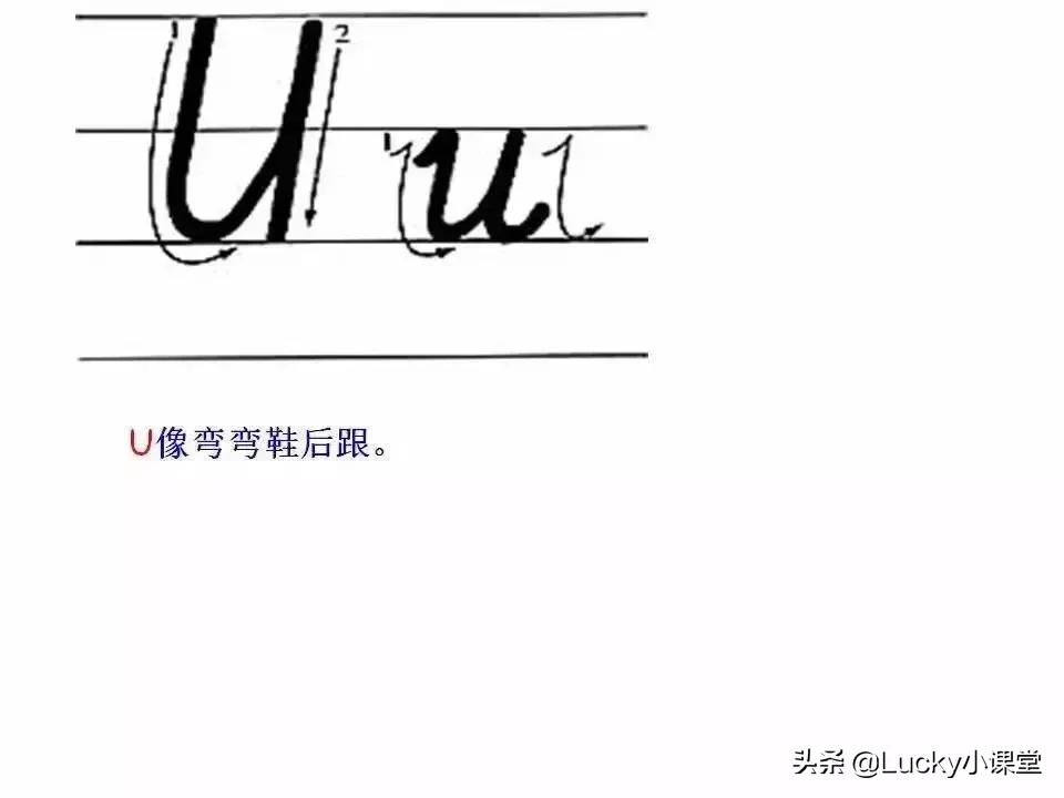 英语字母书写小知识,英语字母书写规范讲解