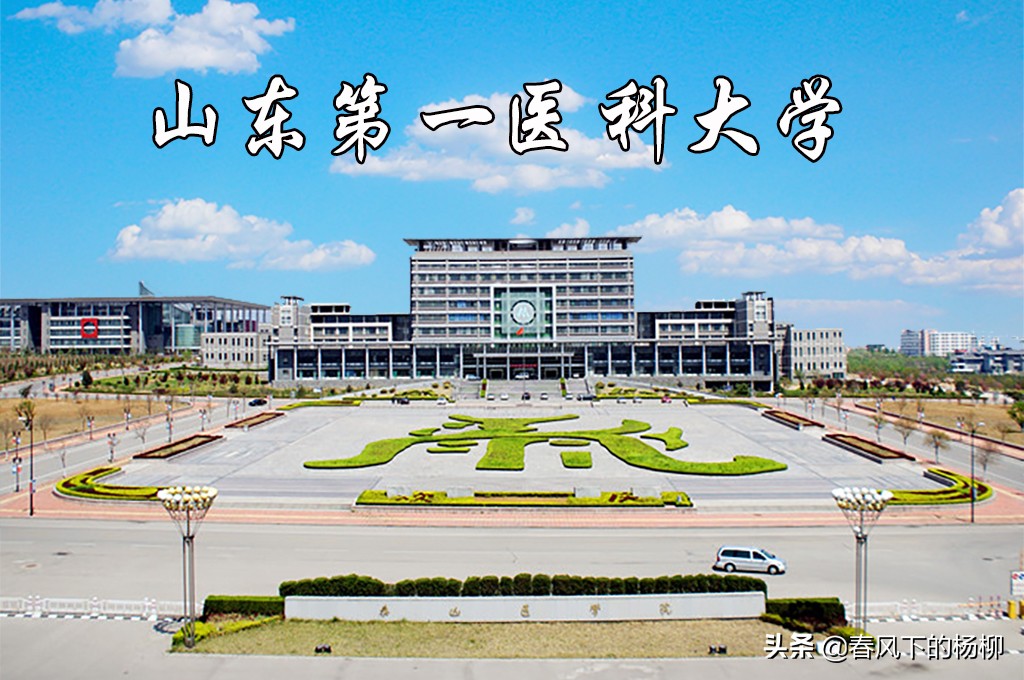 山东第一医科大学最新排名,山东第一医科大学排名最新