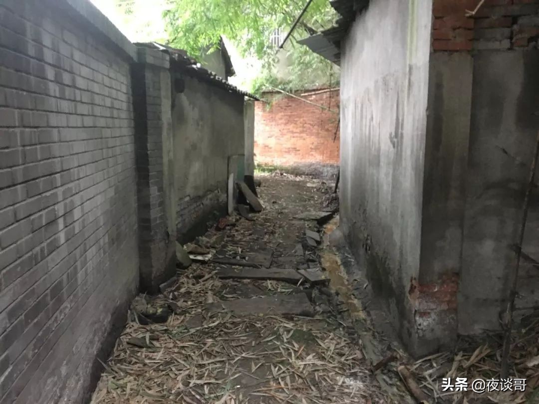 来成都感受这里的慢生活,来成都一年的感受