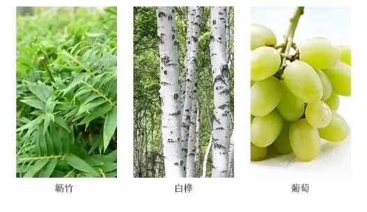 秋冬皮肤干燥补水补不进去,秋冬干燥肌肤用什么面霜