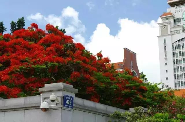 厦门大学2018届毕业生就业质量报告：就业4成留福建，月薪7830元