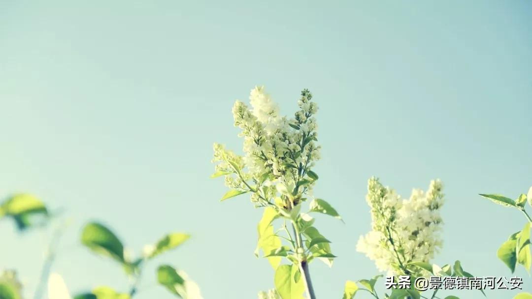 愿你过得好的诗词,苦尽甘来不负年华不负卿什么意思