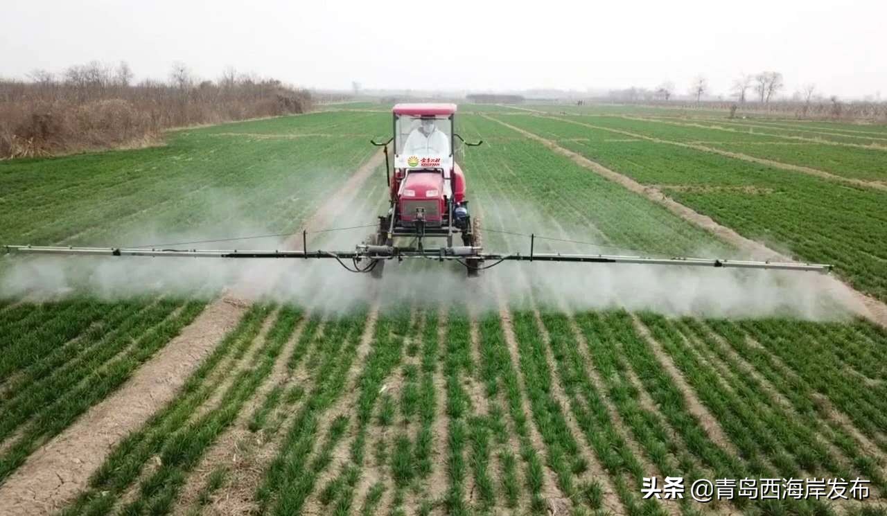 青岛西海岸新区六汪镇：农资直接配送到家不误农时“代购忙”