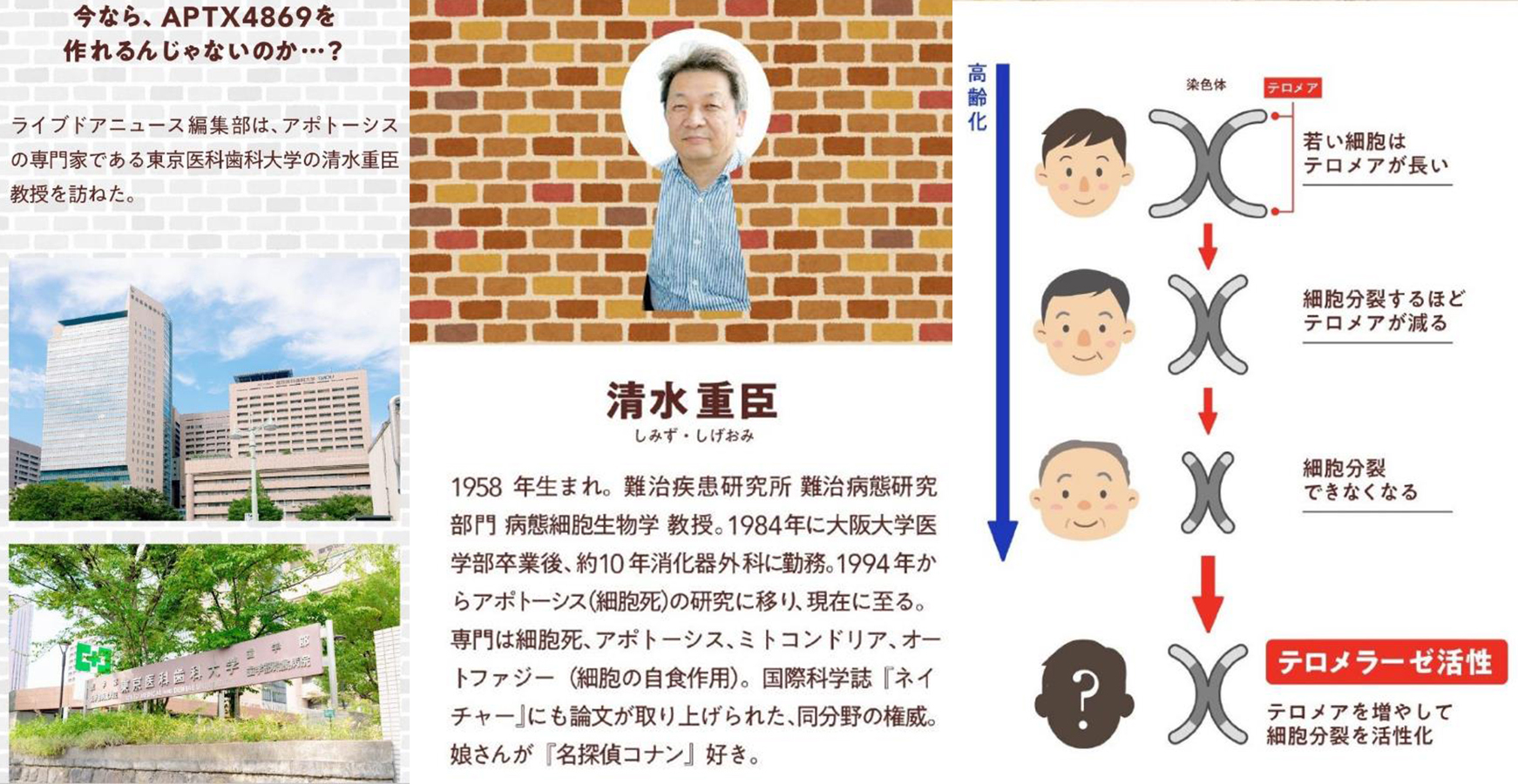 名柯：东医大教授验证“A药”能让人变年轻，幼儿化未来能实现？