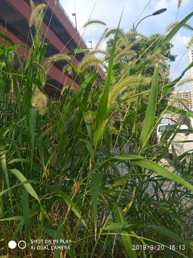 一路秋色,一路秋色一路景