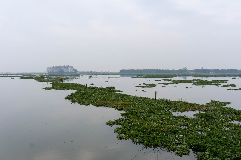 森林麋鹿公园,森林麋鹿