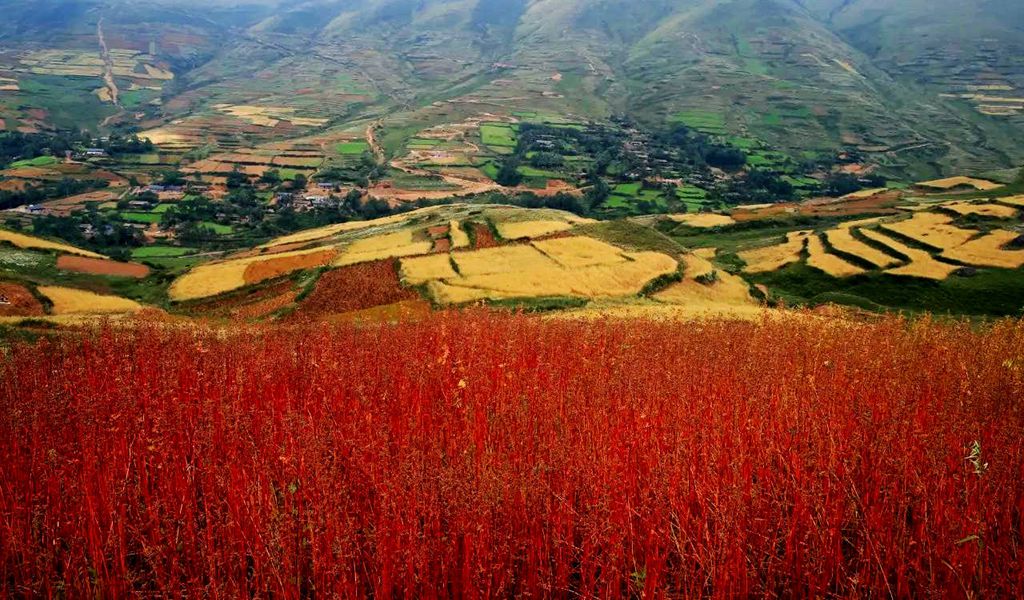 国际旅游摄影推荐,大凉山摄影攻略