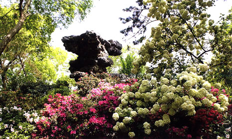 拙政园天下园林之母,苏州园林拙政园攻略