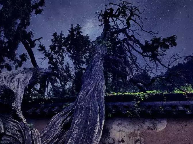 探秘最后的江南秘境,浙江隐藏仙境丽水