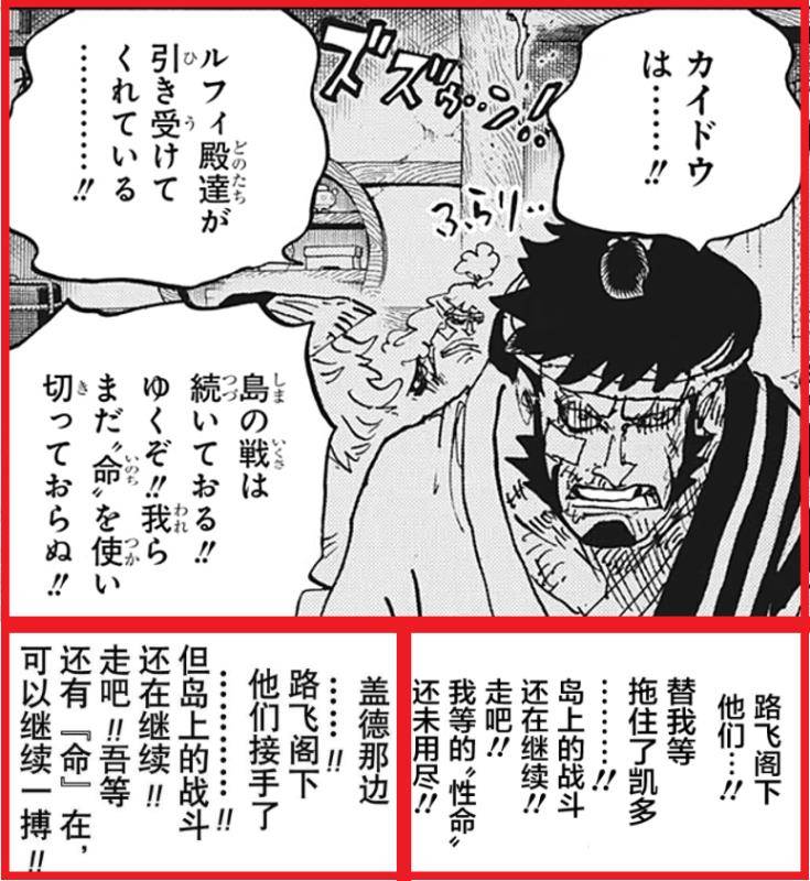 海贼王1007集免费观看完整版,海贼王1007话罗宾