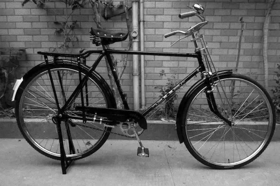 00后们知道自行车中的爱马仕“永久”和“凤凰”吗?