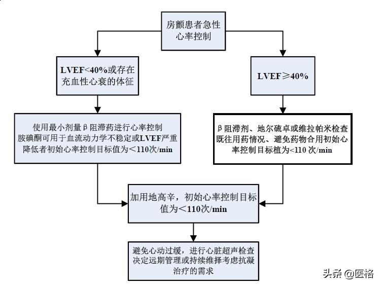 心房颤动病人如何测量心率和脉搏,心房颤动心率不齐最佳恢复方法