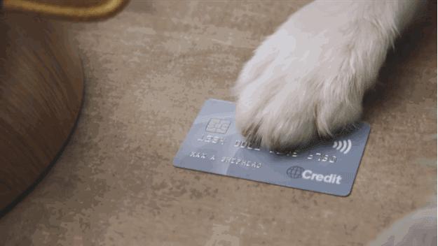 狗狗趾间炎怎么治疗用什么药,狗狗得了趾间炎需要怎么治疗呢