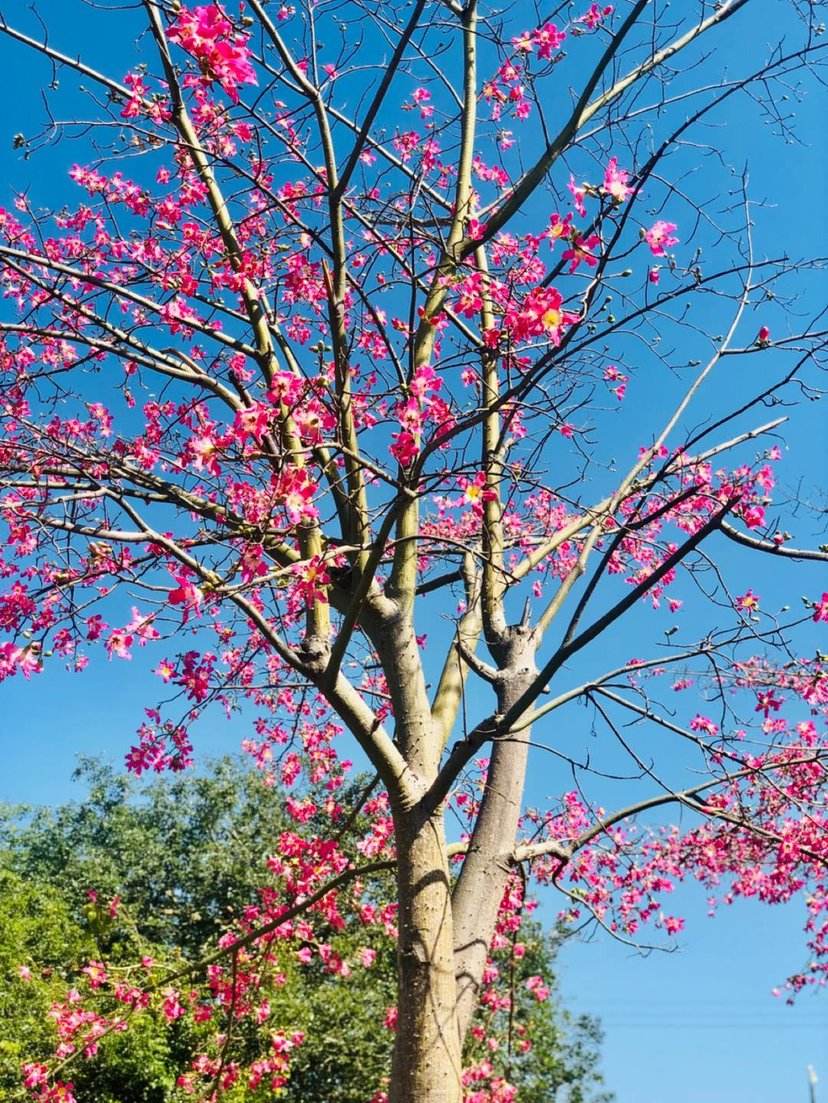 我的爱情观表达感情的方式,我的爱情观是即使不爱也能在一起